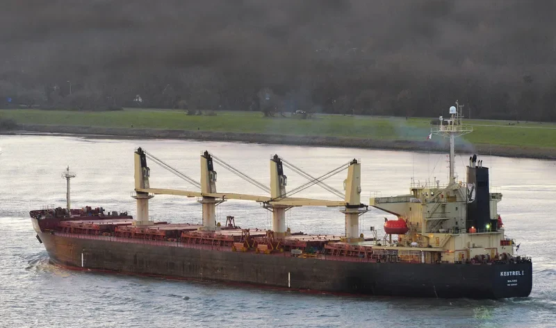 DA HONG 16 Bulk Carrier IMO 9296157 photo 2