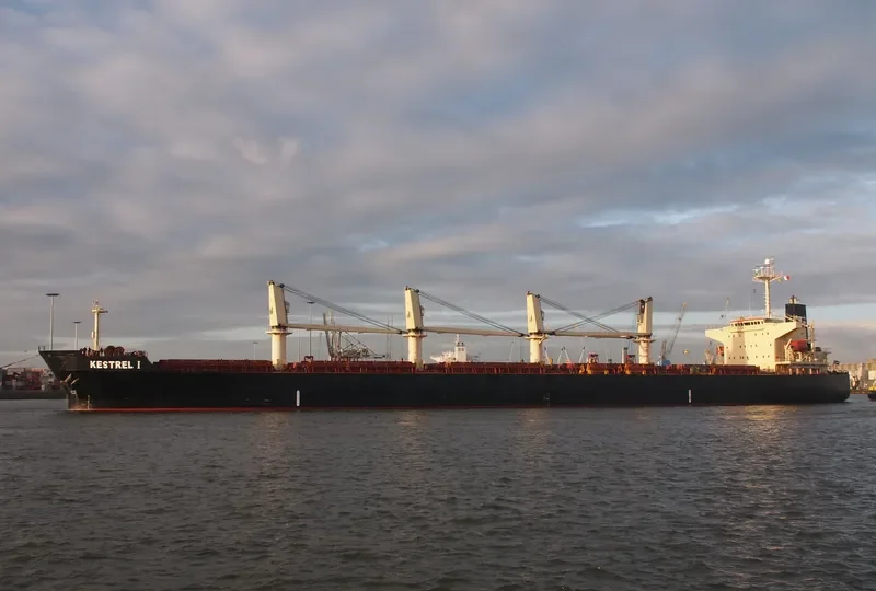 DA HONG 16 Bulk Carrier IMO 9296157 photo 7