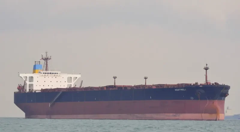 DA HONG 16 Bulk Carrier IMO 9296157 photo 8