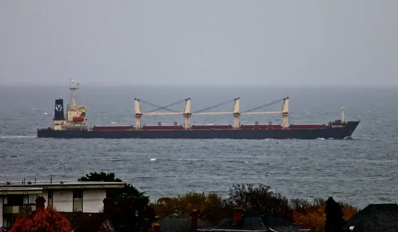 DA HONG 16 Bulk Carrier IMO 9296157 photo 9