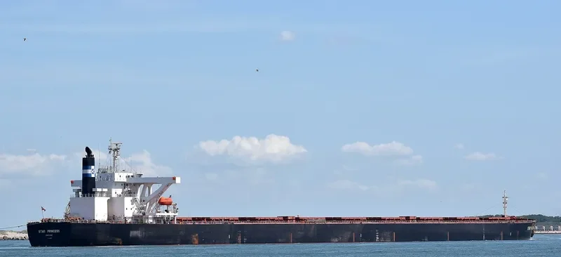 STAR PRINCESS Bulk Carrier IMO 9296200
