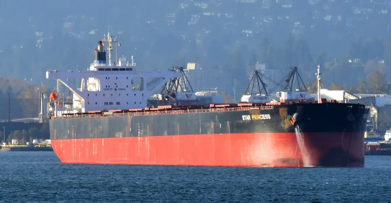 STAR PRINCESS Bulk Carrier IMO 9296200 photo 5