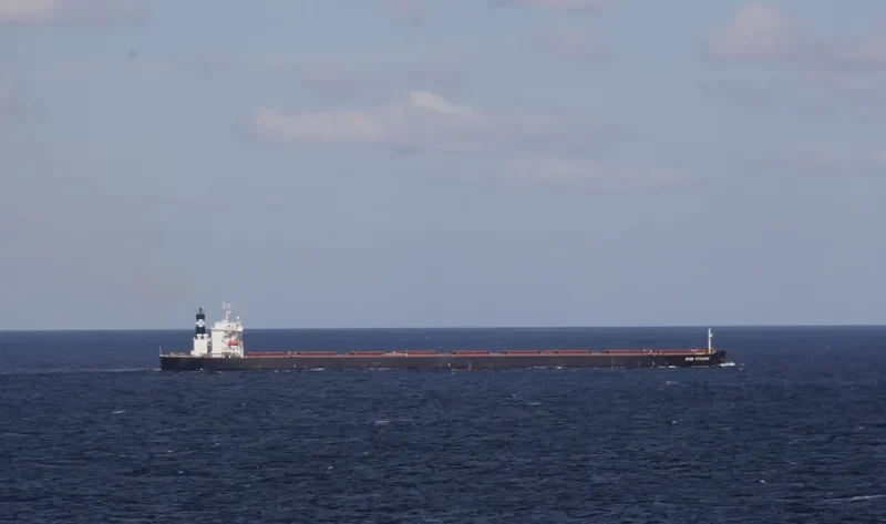 STAR PRINCESS Bulk Carrier IMO 9296200 photo 9