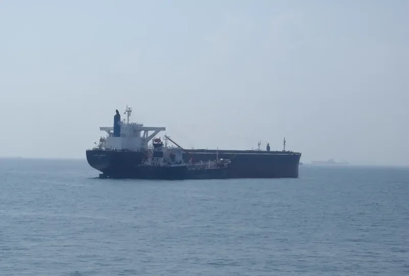 MOUNT OPHIR Bulk Carrier IMO 9296212