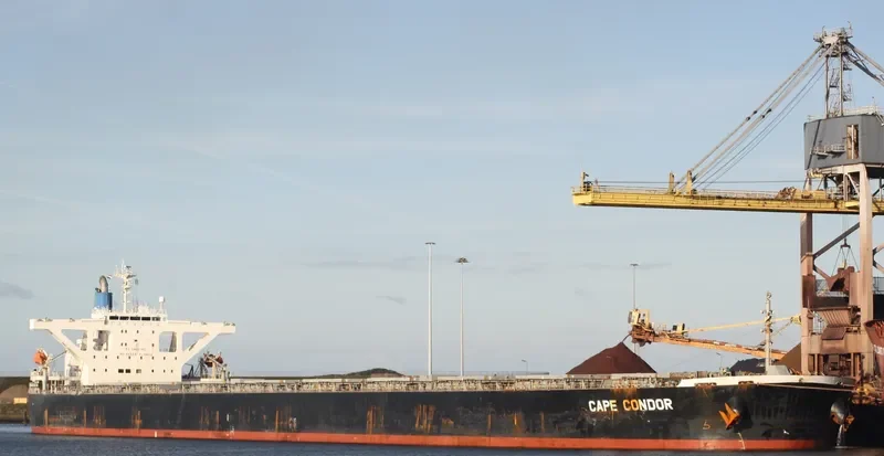 MOUNT OPHIR Bulk Carrier IMO 9296212 photo 2