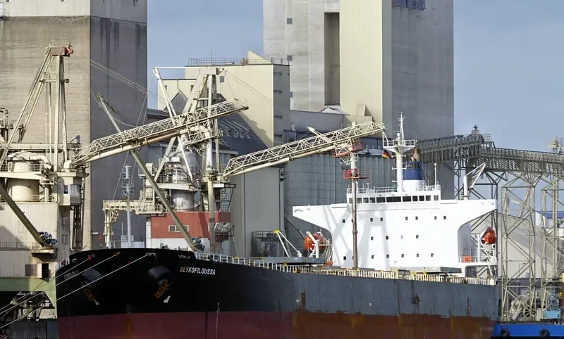 GLYKOFILOUSSA Bulk Carrier IMO 9296236 photo 3
