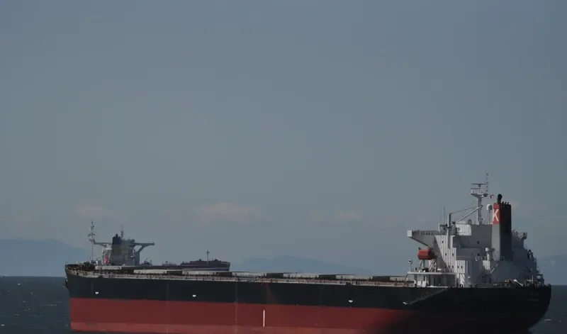 GLYKOFILOUSSA Bulk Carrier IMO 9296236 photo 6