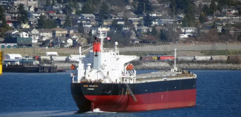 GLYKOFILOUSSA Bulk Carrier IMO 9296236 photo 8