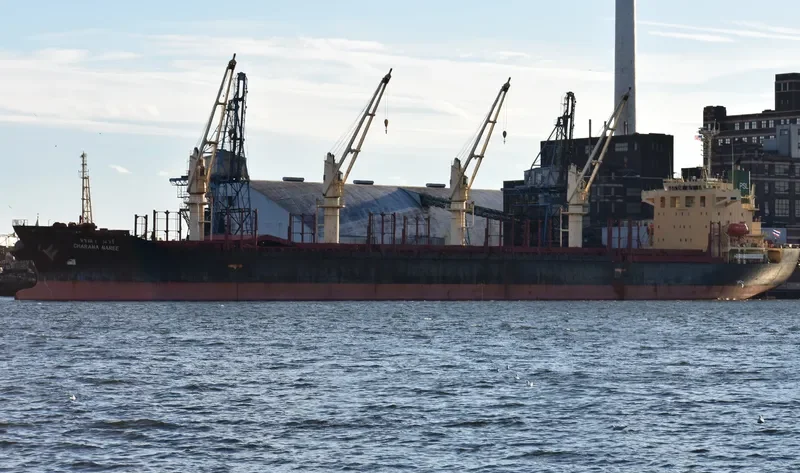 CHARANA NAREE Bulk Carrier IMO 9296303