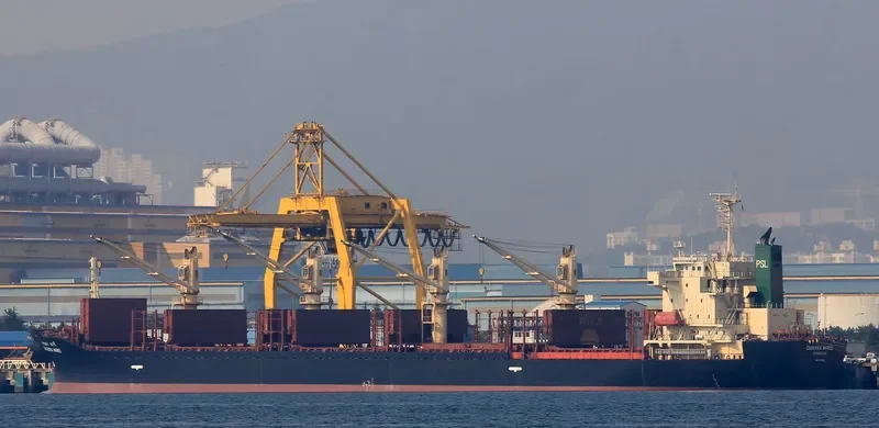 CHARANA NAREE Bulk Carrier IMO 9296303 photo 2