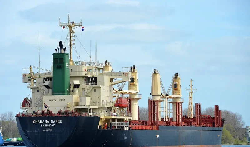 CHARANA NAREE Bulk Carrier IMO 9296303 photo 8