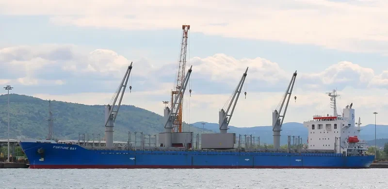 PUNKT Bulk Carrier IMO 9296327