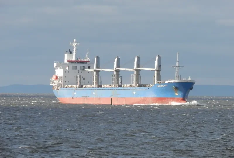 PUNKT Bulk Carrier IMO 9296327 photo 7
