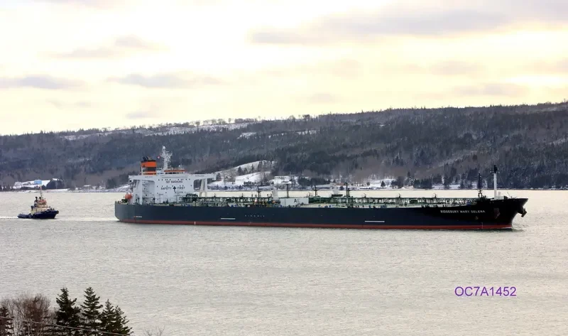 RIDGEBURY MARY SELENA Tanker IMO 9296391 photo 2