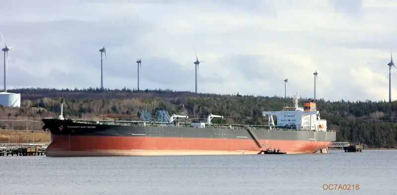 RIDGEBURY MARY SELENA Tanker IMO 9296391 photo 4