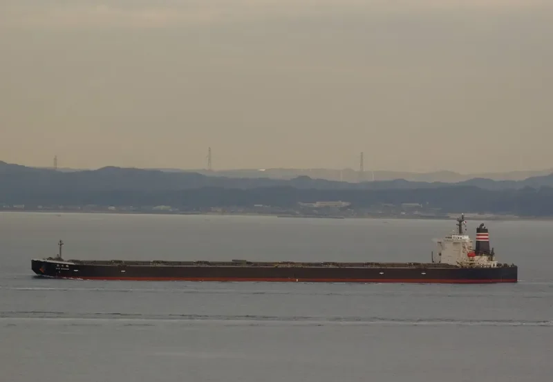 SUNNY ROUTE Bulk Carrier IMO 9296420