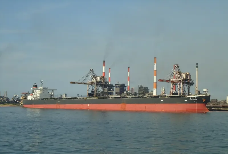 SUNNY ROUTE Bulk Carrier IMO 9296420 photo 5