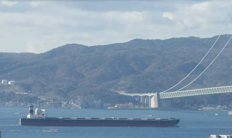 SUNNY ROUTE Bulk Carrier IMO 9296420 photo 6