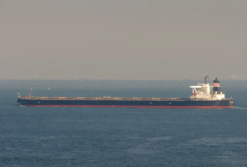 SUNNY ROUTE Bulk Carrier IMO 9296420 photo 7