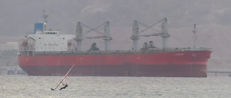 TULIP 18 Bulk Carrier IMO 9296743 photo 2