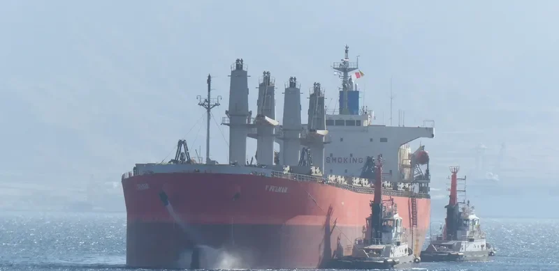 TULIP 18 Bulk Carrier IMO 9296743 photo 4