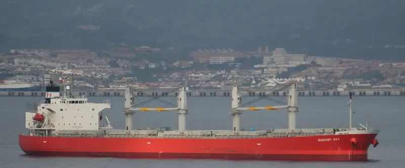 XIANGSHENG HARMONY Bulk Carrier IMO 9296755 photo 4