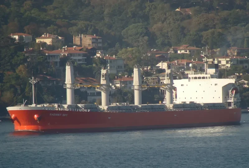 XIANGSHENG HARMONY Bulk Carrier IMO 9296755 photo 7