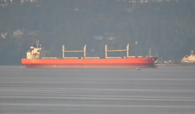 NASHALINA Bulk Carrier IMO 9296779 photo 3