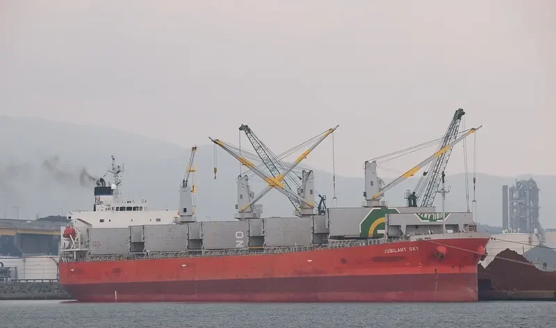 NASHALINA Bulk Carrier IMO 9296779 photo 4