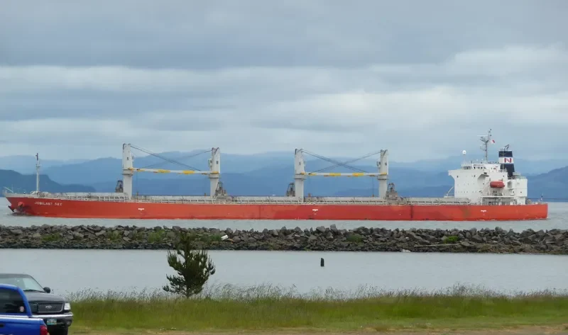 NASHALINA Bulk Carrier IMO 9296779 photo 7