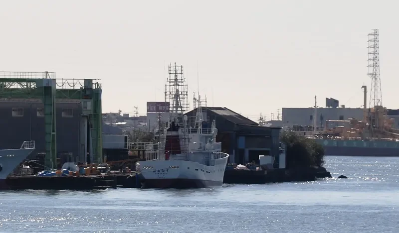 HAMANASU General Cargo IMO 9296860 photo 2