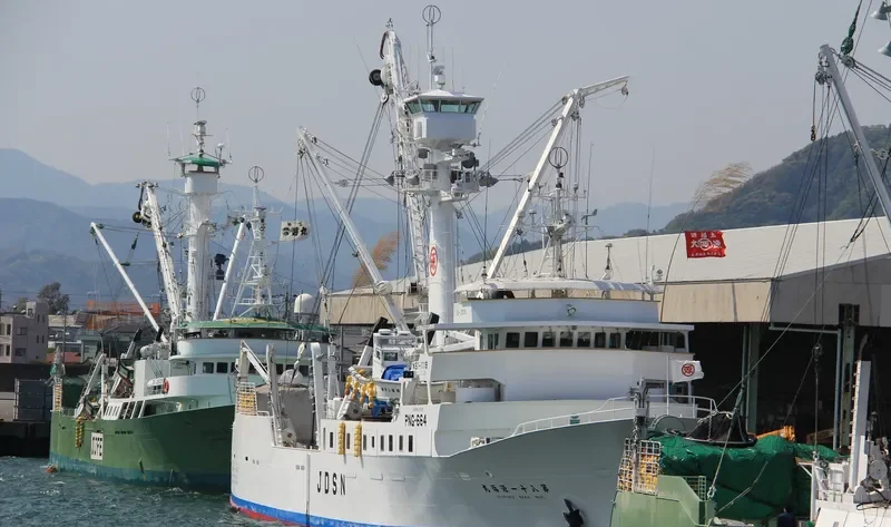 GENPUKU MARU NO.81 General Cargo IMO 9296896 photo 3