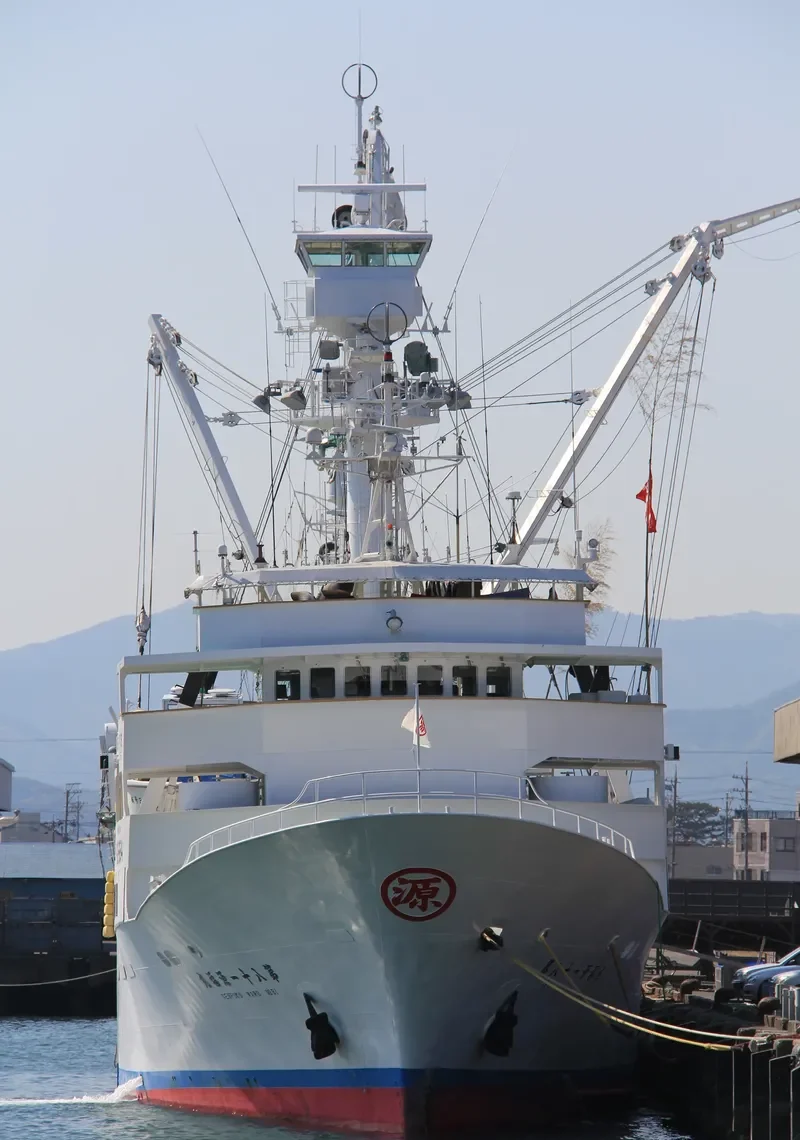 GENPUKU MARU NO.81 General Cargo IMO 9296896 photo 8