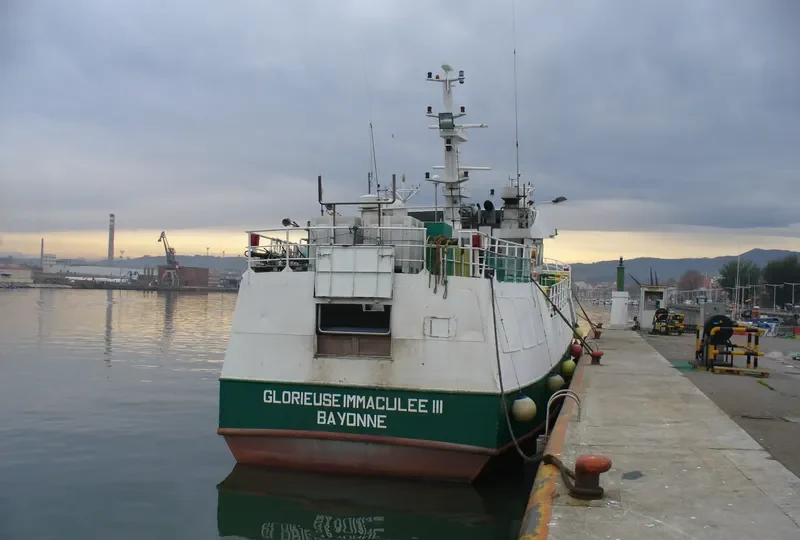 GLORIEUSE IMMACULEE III General Cargo IMO 9296901 photo 6