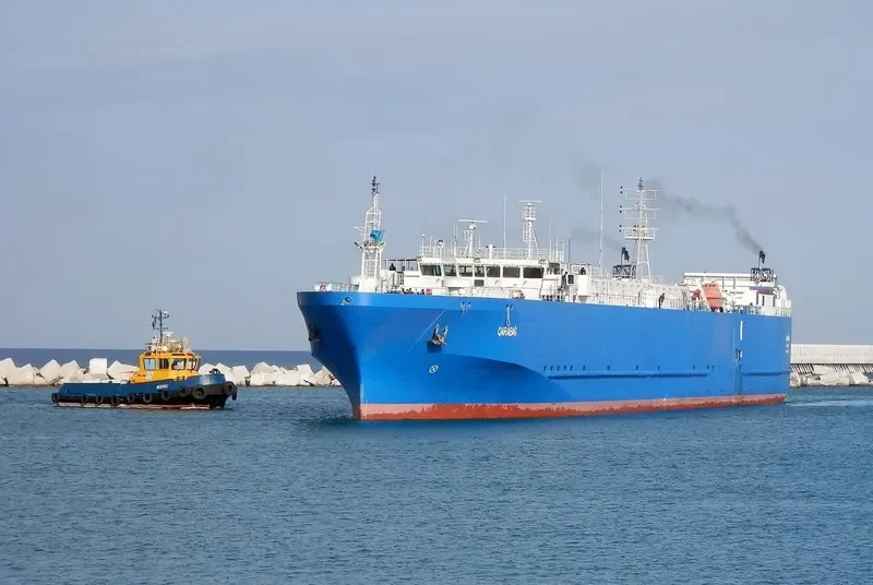 KARABAKH Ro-Ro IMO 9297814 photo 3