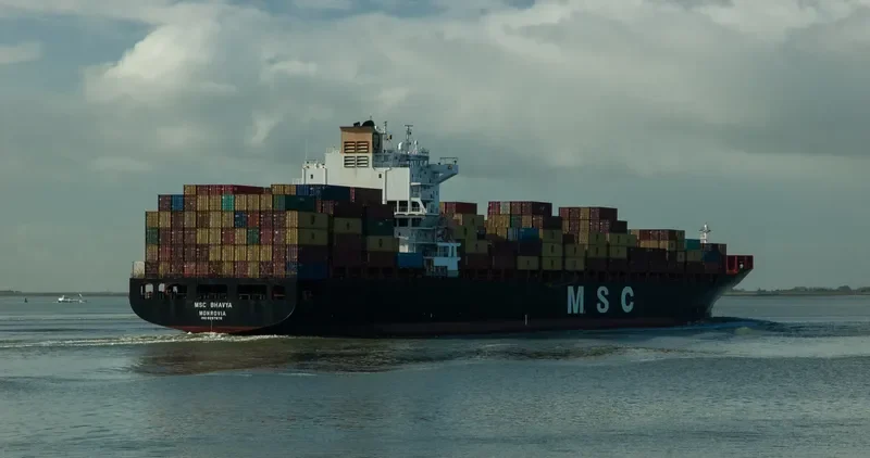 MSC BHAVYA Container Ship IMO 9297876 photo 7