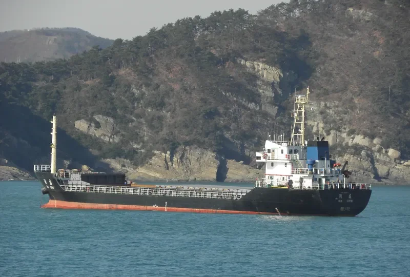 RUN SHENG Bulk Carrier IMO 9297917 photo 8