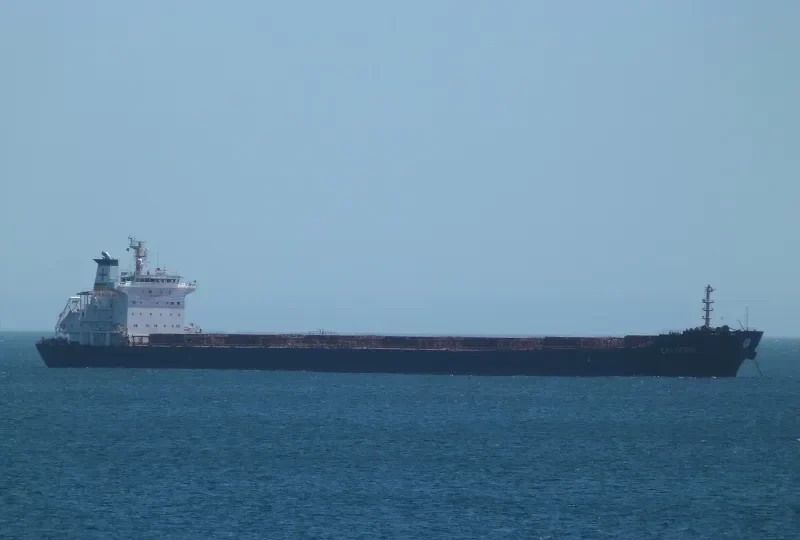 CALIPSO Bulk Carrier IMO 9297929 photo 9