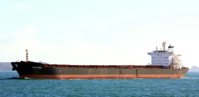 CALIPSO Bulk Carrier IMO 9297929 photo 10