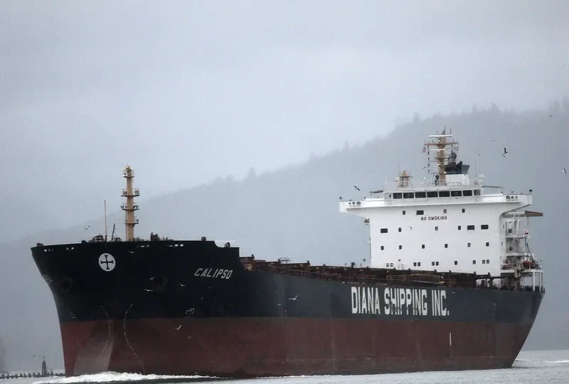 CALIPSO Bulk Carrier IMO 9297929 photo 21