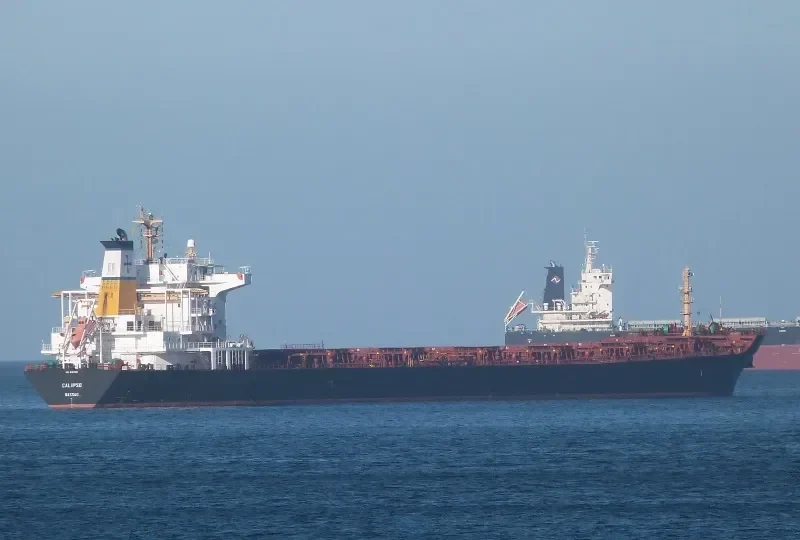 CALIPSO Bulk Carrier IMO 9297929 photo 26