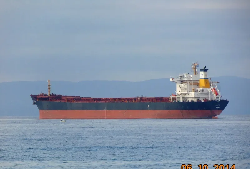 CALIPSO Bulk Carrier IMO 9297929 photo 33