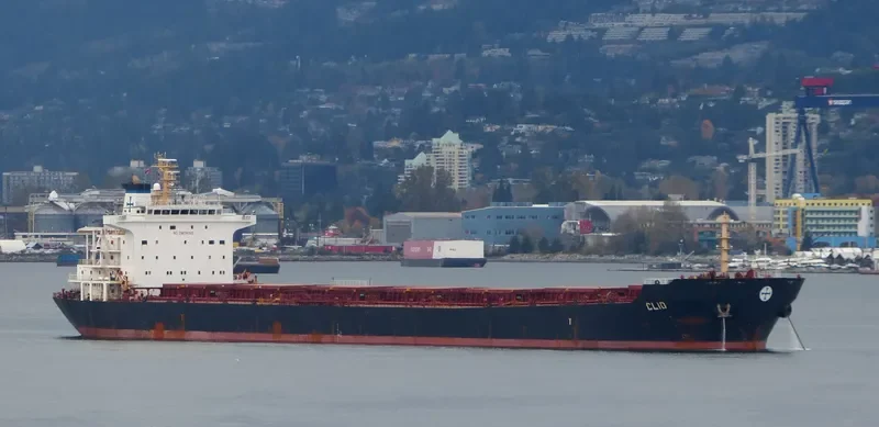 HARVEST Bulk Carrier IMO 9297931 photo 5