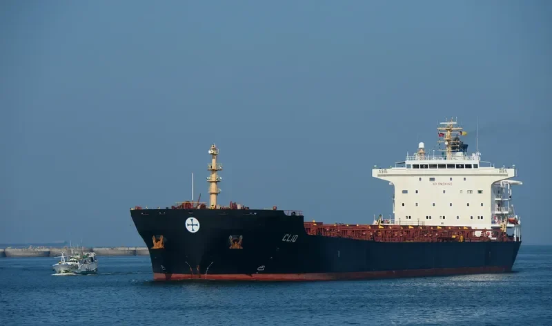HARVEST Bulk Carrier IMO 9297931 photo 8