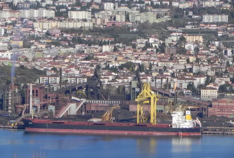 HARVEST Bulk Carrier IMO 9297931 photo 9