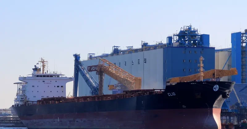 HARVEST Bulk Carrier IMO 9297931 photo 12