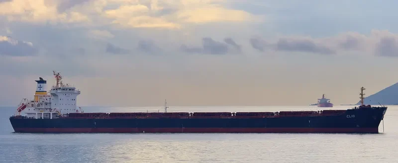 HARVEST Bulk Carrier IMO 9297931 photo 23
