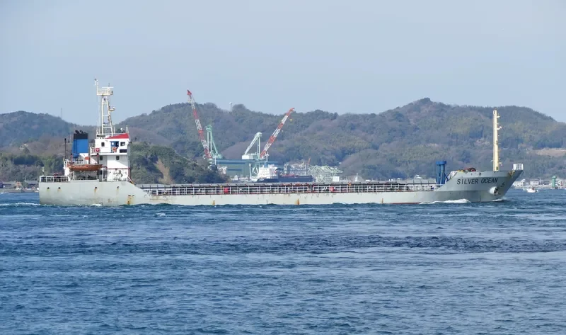 SILVER OCEAN Bulk Carrier IMO 9298430