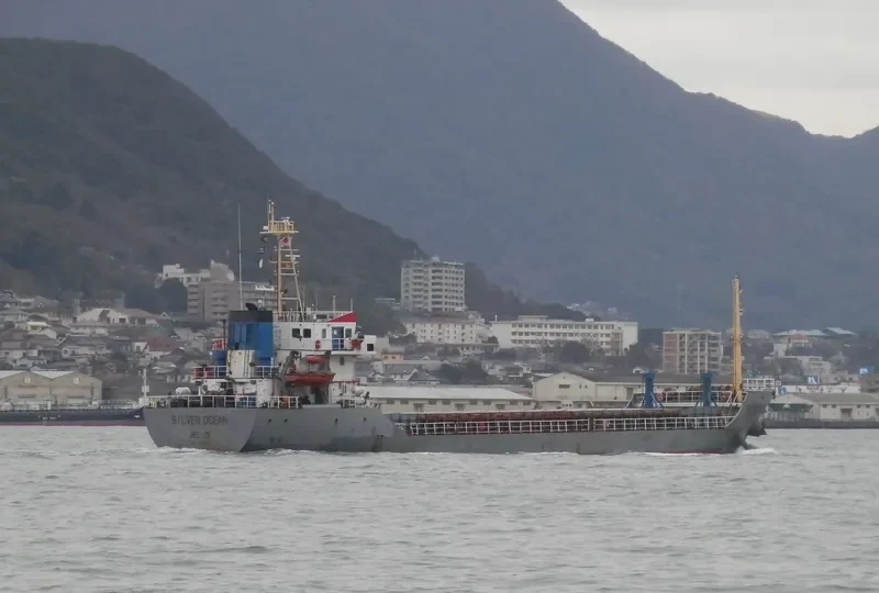 SILVER OCEAN Bulk Carrier IMO 9298430 photo 2