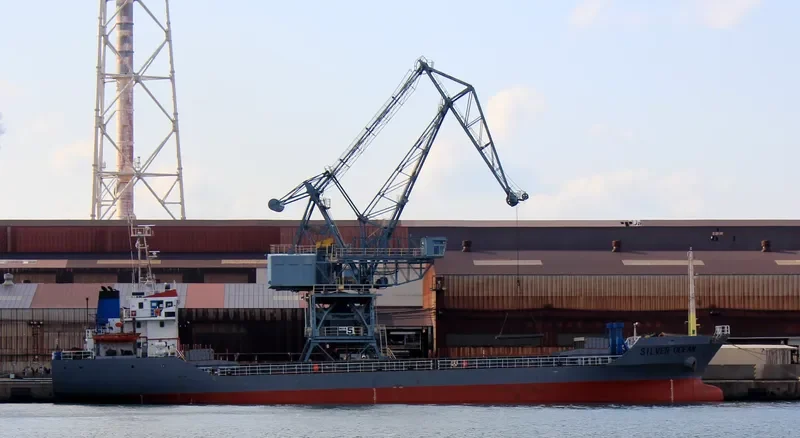 SILVER OCEAN Bulk Carrier IMO 9298430 photo 4